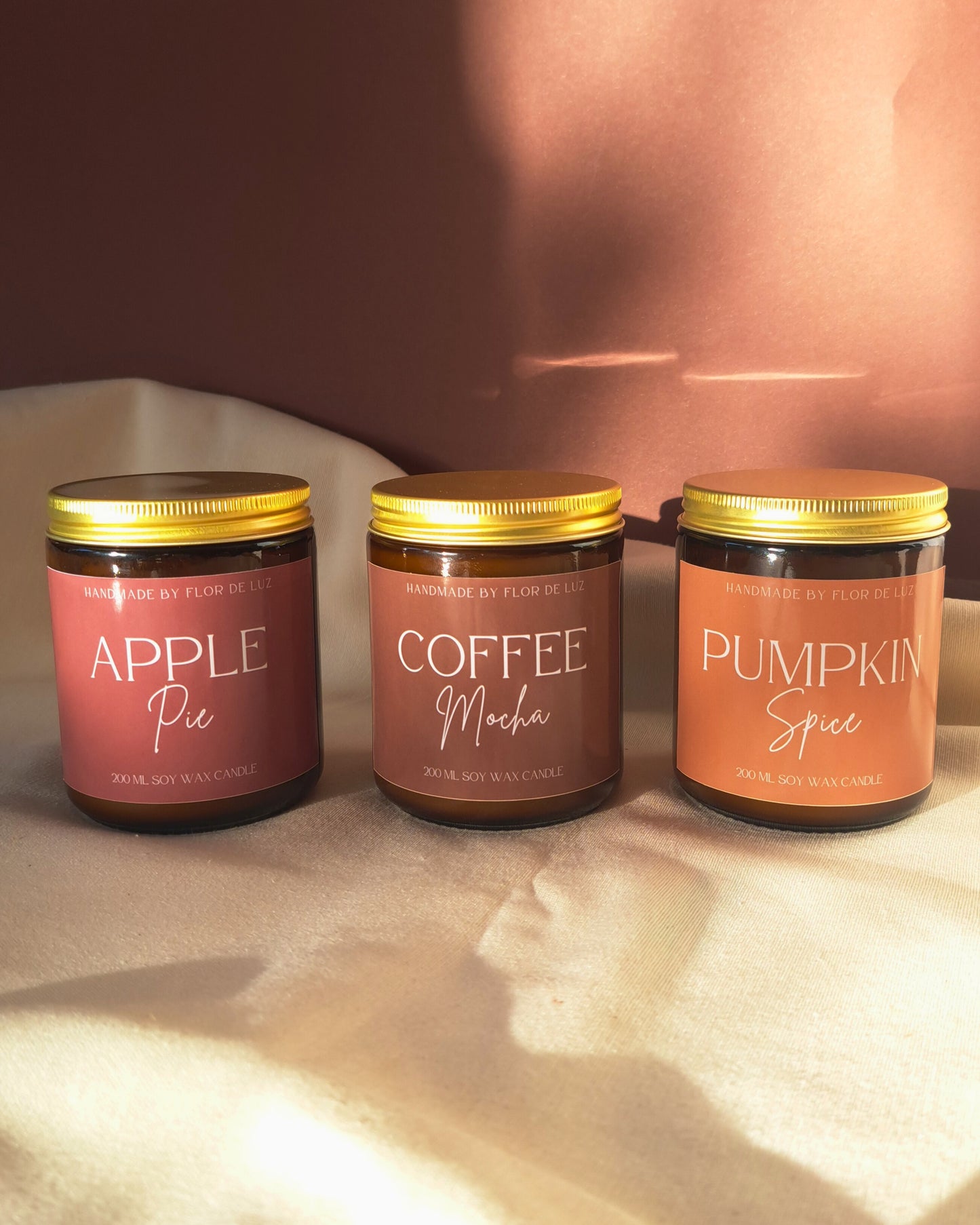 Pack Cozy Coffeeshop